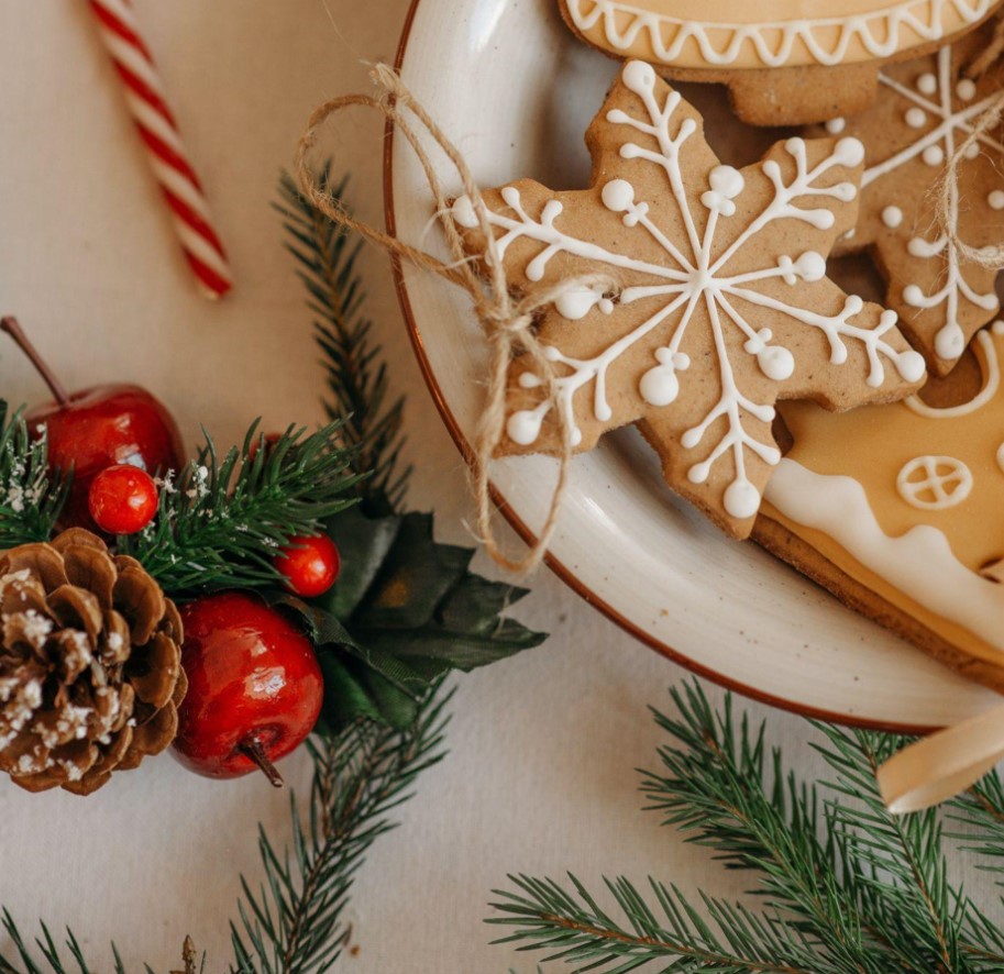 Find the Perfect Christmas Tree for Sale This Holiday